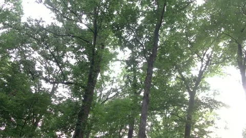 Accident with a drone. Stock Footage 141771311