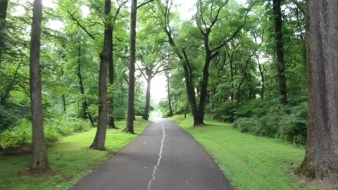 Accident with a drone. Stock Footage 142730043