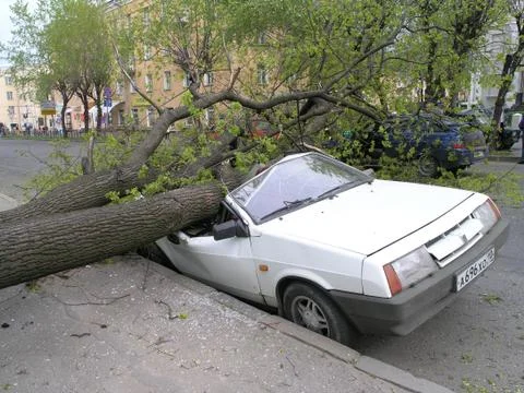 Accident Stock Photos