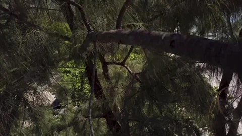 Accident while shooting a video of a small plane. Vidéo 84578296