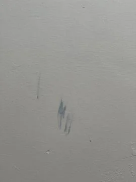 Accidental Paint Smudge On Wall Surface During House Painting 스톡 사진