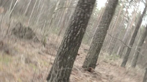 Accidentally activated camera Video stock 146432067