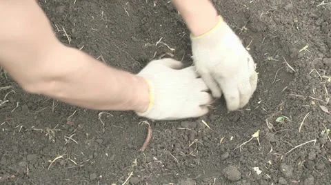 Accidentally found a bomb, an echo of the war Video stock 23629752