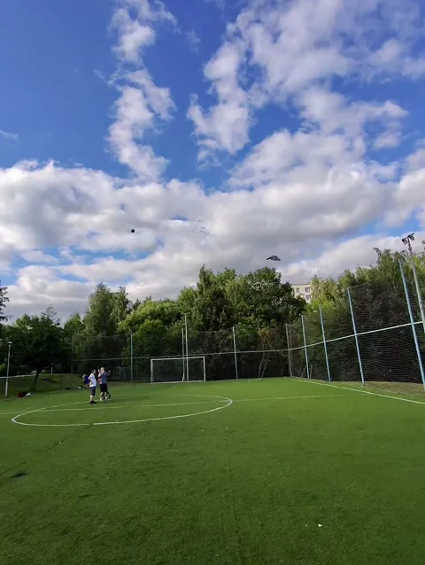 Accidently Hit a Bird With the Ball During Soccer Practice, Moscow, Russia - 16  Stock Footage 340648252