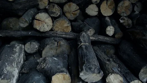 Accommodating firewood Stock Footage 75396473