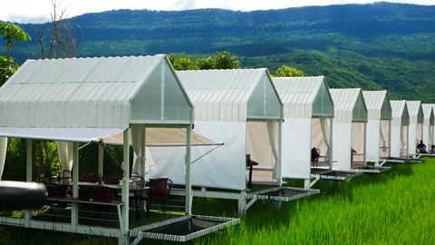 Accommodation in the fields Vídeos de archivo 161542460