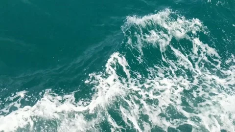 Accommodation located on the beach Stock Footage 312656200
