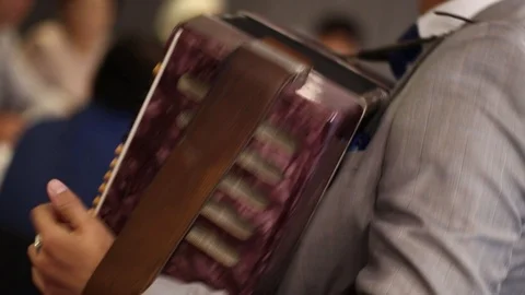 Accordion 2 Stock-Footage 97402781