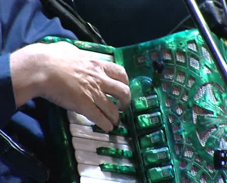Accordion Stock Footage 22480888