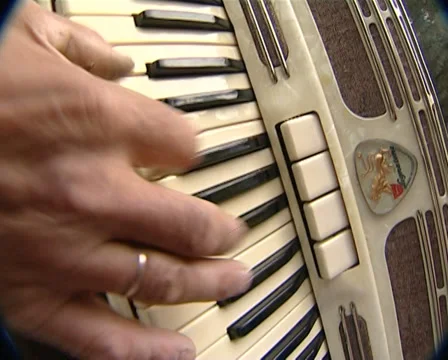 Accordion Stock Footage 31535797