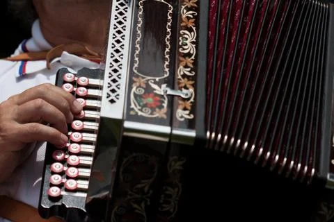 The accordion Stock Photos