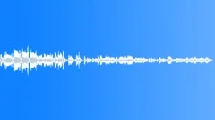Accordion player busker with quick exitSound Effect