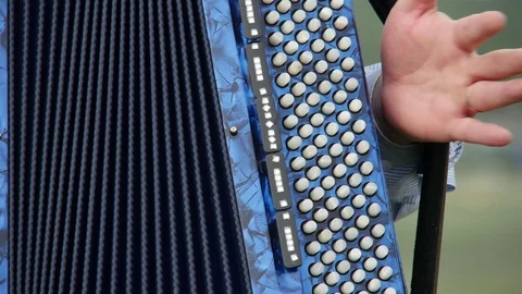 Accordion Player Playing on the Field Stock Footage 101434358