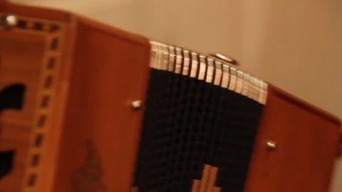 Accordion playing Stock Footage 112088234