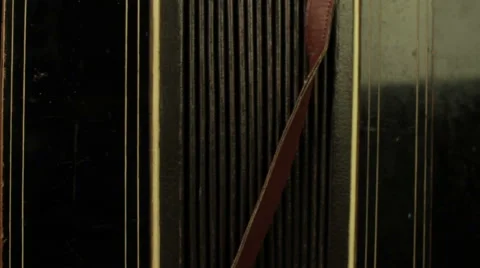 Accordion rotates on a black background loop Stock Footage 41107951