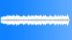 Accordion Waltz - Bright French Mix Stock Music