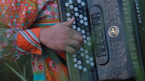 Accordionist Stock Footage 29160461