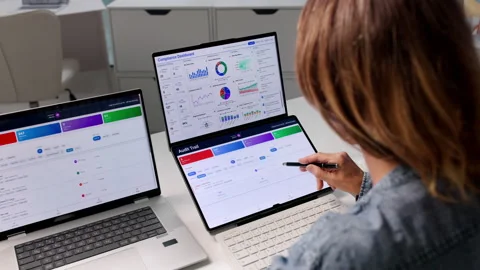 Accountant Carefully Audits Transaction Logs For Compliance Stock Footage 337227286