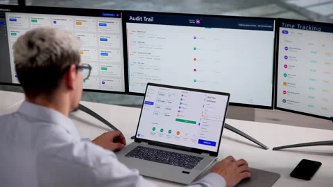 Accountant Reviewing Payroll System Stock Footage 332498945