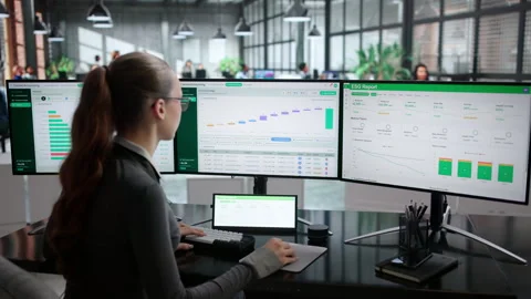 Accountant Working On Carbon Emissions Data Stock Footage 344713083