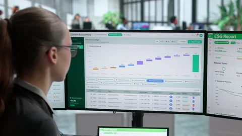 Accountant Working On Carbon Emissions Data Stock Footage 344714545
