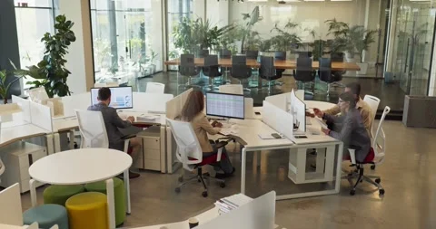 Accountants and analysts working on data at computers in bright open plan office Stock Footage 346599975