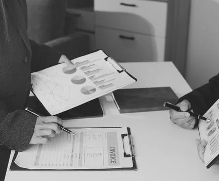 Accountants processing financial documents and taxes, managing corporate fi.. Stockfoto's