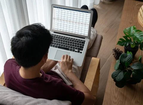 Accounting software on computer screen showing financial statement snugly Foto stock