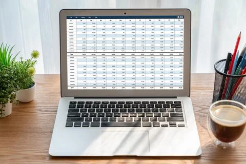 Accounting software on computer screen showing financial statement snugly Foto stock