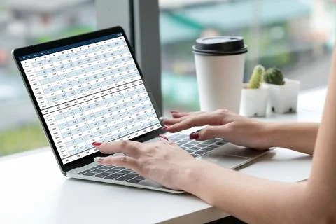 Accounting software on computer screen showing financial statement snugly Foto stock
