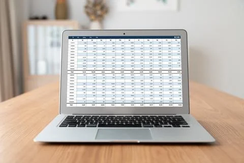 Accounting software on computer screen showing financial statement snugly Foto stock