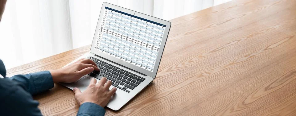 Accounting software on computer screen showing financial statement snugly Foto stock