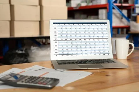 Accounting software on computer screen showing financial statement snugly Foto stock