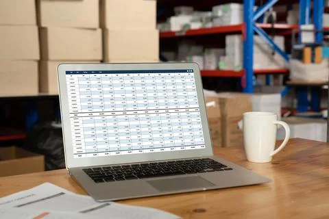 Accounting software on computer screen showing financial statement snugly Fotos Stock
