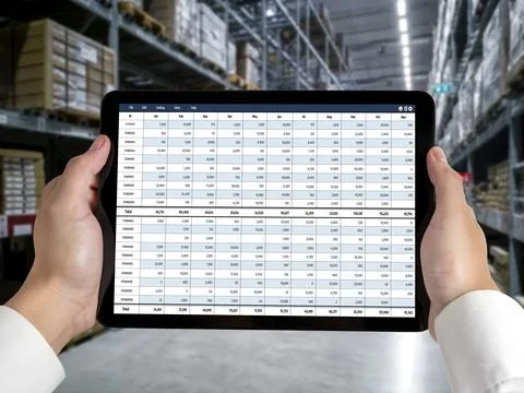 Accounting software on computer screen showing financial statement snugly Fotos Stock