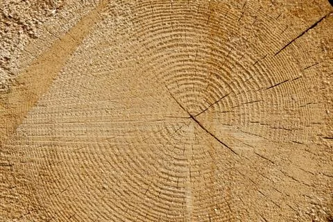 Accretion rings Stock Photos