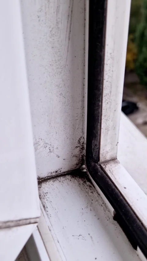 Accumulating Dirt Mold on PVC Window Frame Stock Footage 319041423