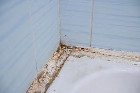 Accumulation of germs time to make repairs Фото