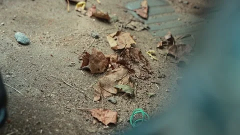 Accumulation of sand, trash, and dry leaves on car floor by driver seat creating Stock Footage 323911069