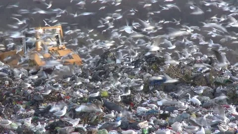 Accumulation of waste Video stock 79187164