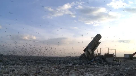Accumulation of waste 스톡 동영상 79187195