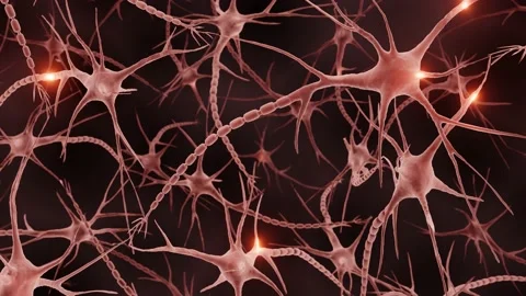 Accurate animation of neurons Stock Footage 203948190