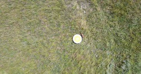 Accurate, automatic and safe landing of the copter Stock Footage 77055655