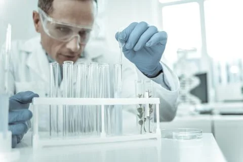 Accurate scientist using clear dropper while transferring liquids Stock Photos