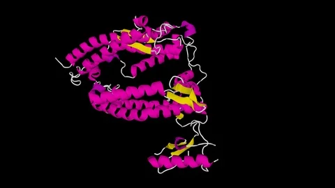ACE2 (Angiotensin converting enzyme 2) Human cartoon model with alpha ch. Vidéo 127212591