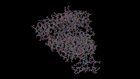 ACE2 (Angiotensin converting enzyme 2) Human sticks model Stock Footage 128068167