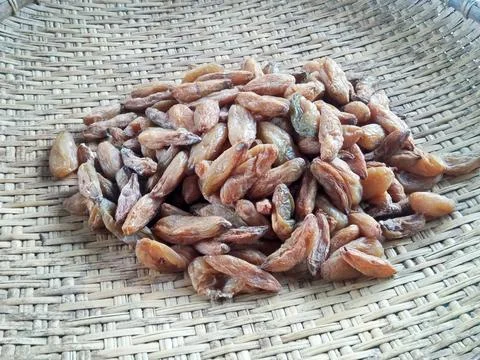 Acehnese Kitchen Ingredients Stock Photos