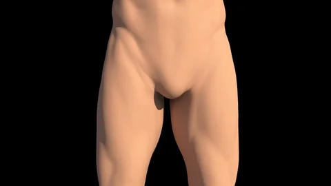 Acetabular Labral Lesion Stock Footage 121127351