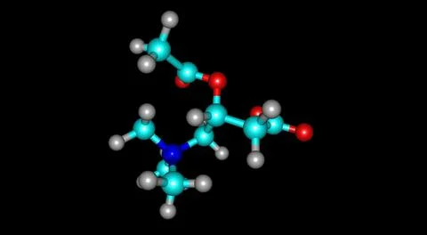 Acetyl-L-carnitine molecular structure isolated on black Stock Illustration