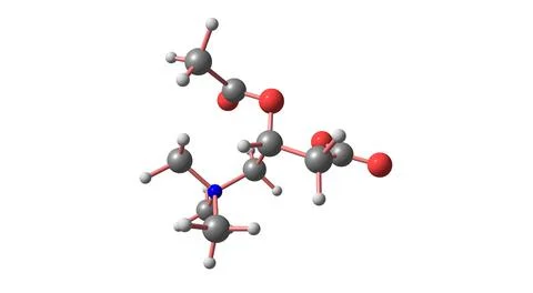 Acetyl-L-carnitine molecular structure isolated on white Stock Illustration